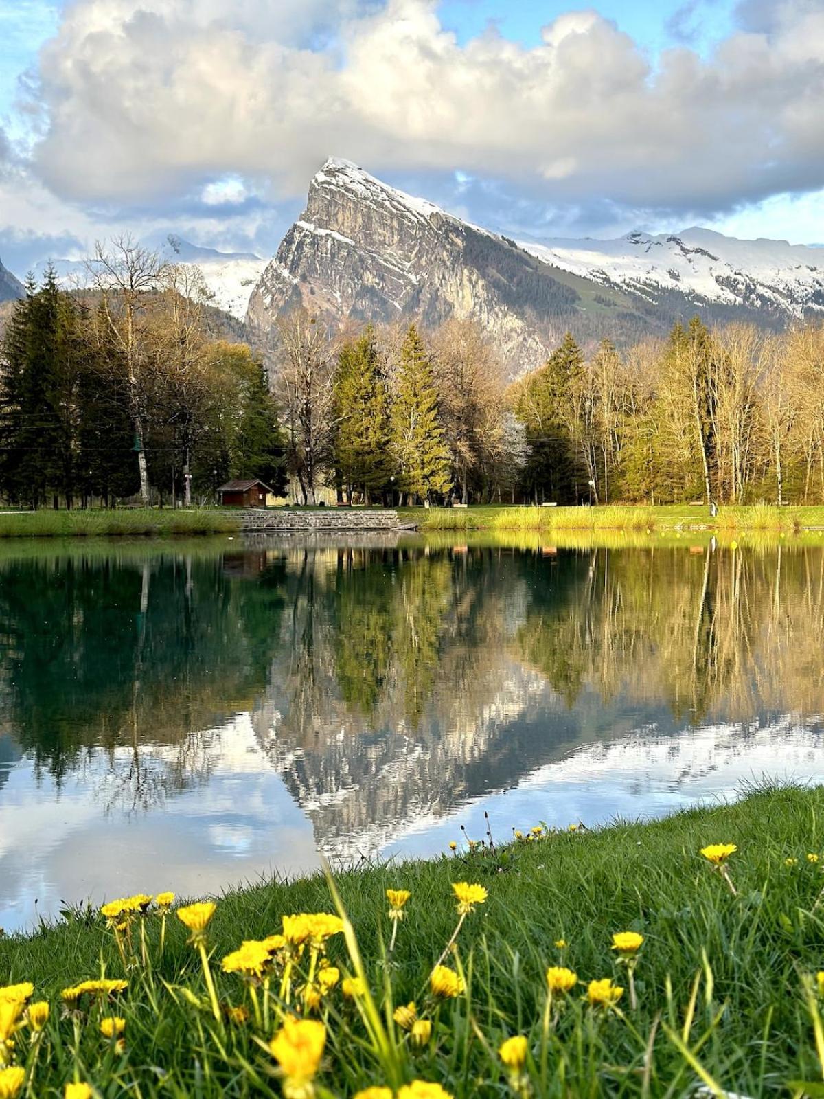 Bungalow 3 Chambres Pour 6 Pers Avec Climatisation Camping 3 Etoiles Samoëns Buitenkant foto